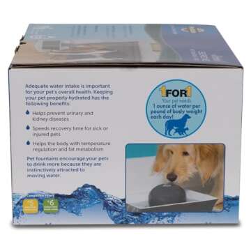 PetSafe Drinkwell Ceramic Pet Water Fountain - Quiet Automatic 70oz Dispenser for Cats & Dogs with Filters - Dishwasher Safe Square Design