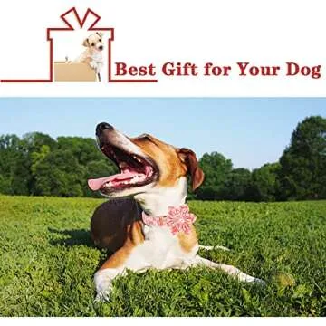 Unique style paws Dog Collar with Flower Tie Pink Daisy Summer Dog Collar for Small Medium Large Dogs with Adjustable Metal Buckle -XS