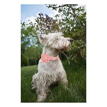 Unique style paws Dog Collar with Flower Tie Pink Daisy Summer Dog Collar for Small Medium Large Dogs with Adjustable Metal Buckle -XS