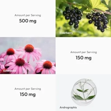 BigVita Immune Support Booster with Elderberry and Echinacea