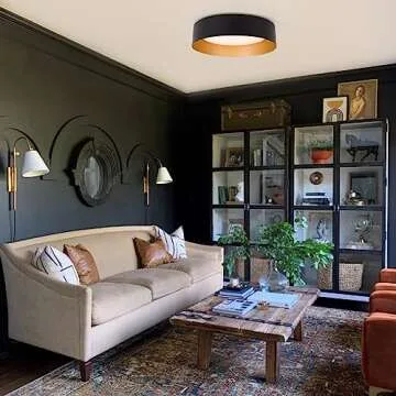 Bargeni Flush Mount Ceiling Lights,12.5 inch Ceiling Light Fixture,3000K/18W, Matte Black with Champagne Gold Inside Finish,Flush Mount Light Fixture for Balcony,Outdoor,Kitchen,ETL Listed-2 Pack