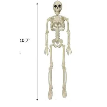 COYOAL Halloween Skeletons Decorations - 16" Full Body Realistic Faux Human Skeleton with Movable Jo...