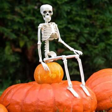 COYOAL Halloween Skeletons Decorations - 16" Full Body Realistic Faux Human Skeleton with Movable Joints, Halloween Decor for Outdoor Inoddr Haunted House Graveyard