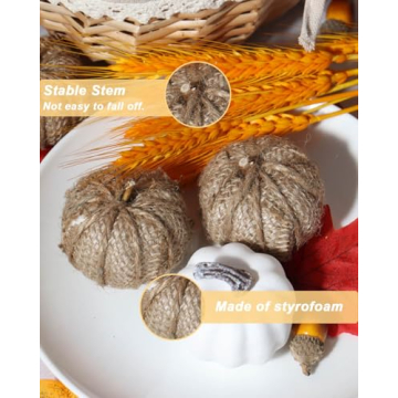 Vensovo Fall Pumpkins - 16PC Rustic Decor Set