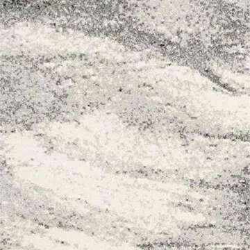 SAFAVIEH Retro Accent Rug - Stylish and Stain Resistant