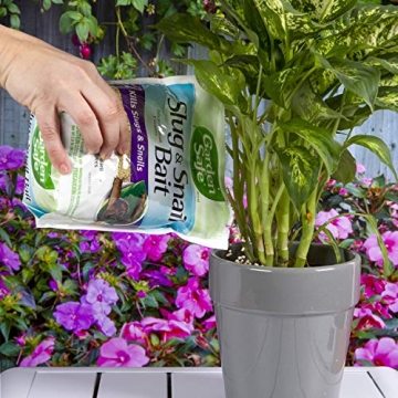 Garden Safe Slug & Snail Bait - Pet-Friendly & Effective