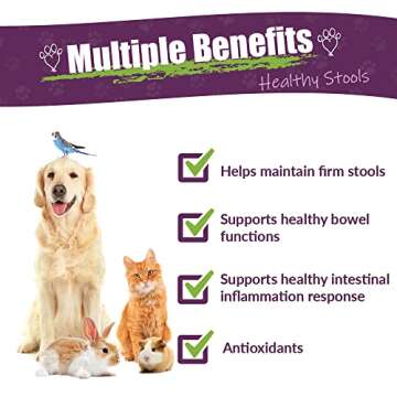 AMBER NATURALZ Kochi Free Herbal Supplement for Dogs, Cats, Birds, Guinea Pigs, and Rabbits | Pet He...