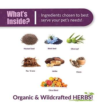 AMBER NATURALZ Kochi Free Herbal Supplement for Dogs, Cats, Birds, Guinea Pigs, and Rabbits | Pet Herbal Supplement for Healthy Stool Support | 4 Fluid Ounce Glass Bottle | Manufactured in The USA