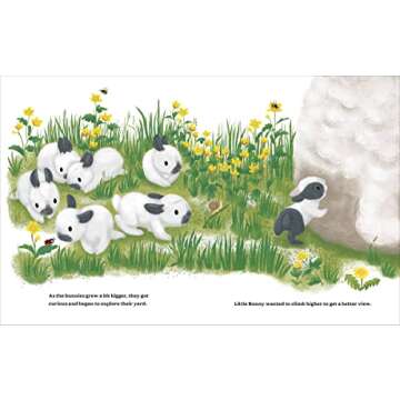 The Cutest Brave Little Bunny