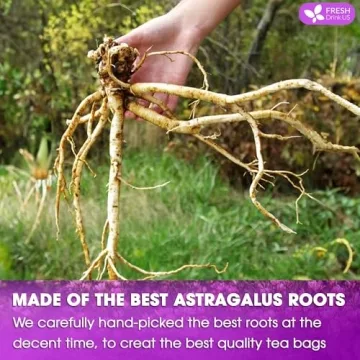 Astragalus Root Herbal Tea Bags – 100% Natural Organic