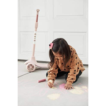 Birdie Kick Scooter for Beginner Riders Ages 3-6