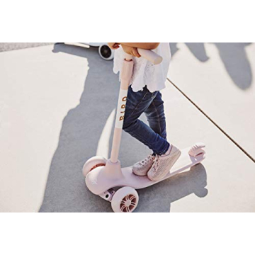 Birdie Kick Scooter for Beginner Riders Ages 3-6