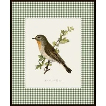 Bird Collage Prints Set No 1, Vintage Bird Prints, Bird Wall Art Prints, Vintage Wall Art, Vintage Wall Decor, Vintage Art Prints, Bird Pictures Wall Decor (PAPER PRINTS - UNFRAMED, 11X14 SET OF 4)