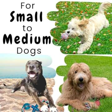 Otterly Pets - Vibrant Colors Dog Rope Toy Set for Medium and Small Dogs - 6-Pack - Ideal for tug-of...