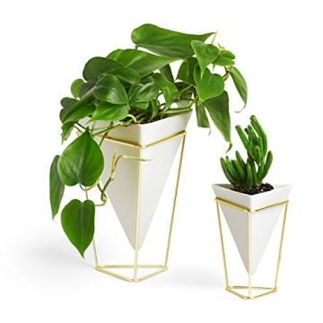 Umbra Trigg Desktop Planter Vase for Indoor Gardening