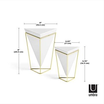 Umbra Trigg Desktop Planter Vase for Indoor Gardening
