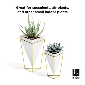 Umbra Trigg Desktop Planter Vase for Indoor Gardening