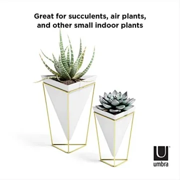 Umbra Trigg Desktop Planter Vase for Indoor Gardening