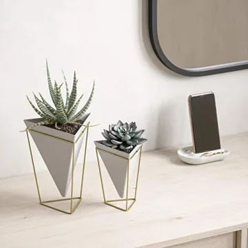 Umbra Trigg Desktop Planter Vase for Indoor Gardening