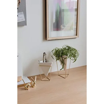 Umbra Trigg Desktop Planter Vase for Indoor Gardening