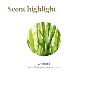 Young Living Citronella Essential Oil - Harness the Power of Nature to Create a More Invigorating Outdoor Environment - 15 ml