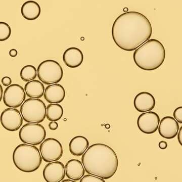 Living proof No Frizz Vanishing Oil