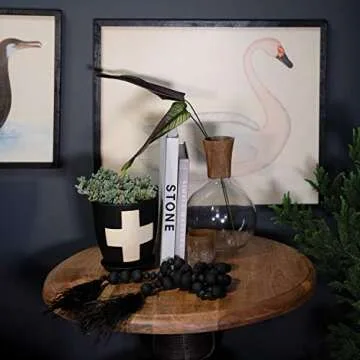 Creative Co-Op Wood & MDF Framed Vintage Reproduction Swan Image, White Wall Décor