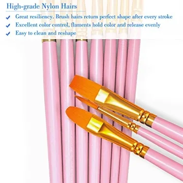 BOSOBO 10-Piece Round Tip Paint Brushes Set for Art