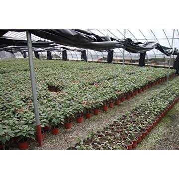 Oubest Plastic Plant Nursery Pots 6" 50 pcs Reusable for Seed Starting Seedlings Cuttings Transplanting Flower Plant Pots