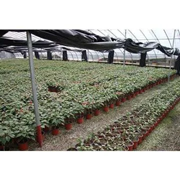 Oubest Plastic Plant Nursery Pots 6" 50 pcs Reusable for Seed Starting Seedlings Cuttings Transplanting Flower Plant Pots