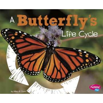 A Butterfly's Life Cycle (Explore Life Cycles)