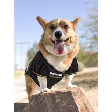 NFL Jacksonville Jaguars Dog Jersey, Size: Large. Best Football Jersey Costume for Dogs & Cats. Licensed Jersey Shirt