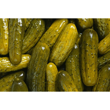 Fancy Pickle Flavored Candy Canes for Holiday Fun