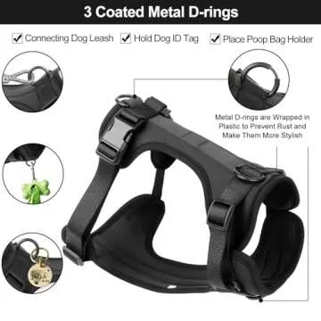 No Pull Lightweight Dog Harness: Adjustable Durable Breathable Mesh Pet Vest Harness with Soft & Comfortable Cushion, for Small Medium Large Dogs (S, Black)