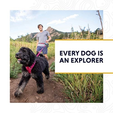 Ruffwear Crag Dog Collar Reflective Adjustable and Durable