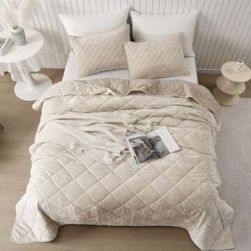 SHALALA Luxury Velvet Quilt Set Queen Size,Ultra Soft Lightweight Summer Velvet Comforter Set, Overs...