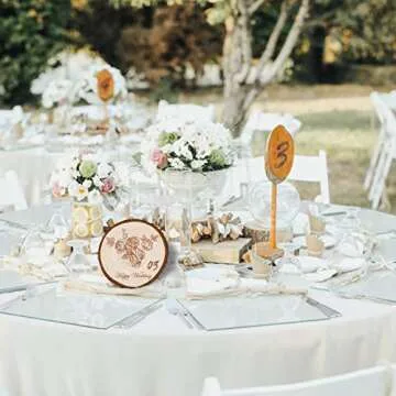 Natural Wood Slices 20Pcs for Creative DIY Crafts