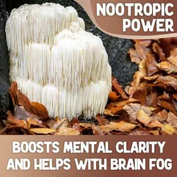 XPRS Nutra Organic Lion's Mane Mushroom Powder - Premium for Mental Clarity, Cognition and Immunity - Vegan Friendly (8 oz)