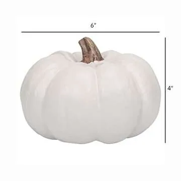 Elanze Designs Classic White 6 inch Resin Harvest Decorative Pumpkins Pack of 4