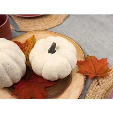 Elanze Designs Classic White 6 inch Resin Harvest Decorative Pumpkins Pack of 4