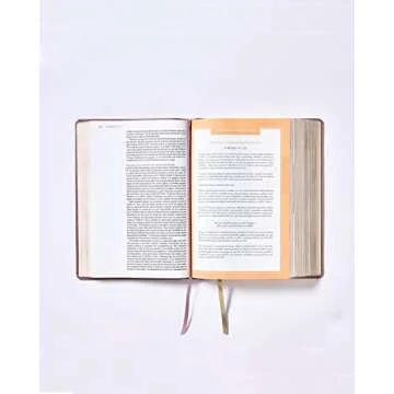 Elegant NBLA Santa Biblia Ama a Dios Grandemente Gift Edition