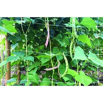 Tenax HORTONOVA Trellis NET 59" x 328' for Gardening