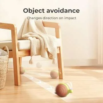 Buy Cheerble Wicked Snail Interactive Cat Toy