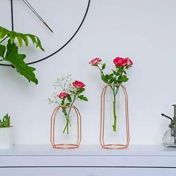 Stylish Vases Set of 2 - Modern Glass with Metal Frame