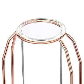 Stylish Vases Set of 2 - Modern Glass with Metal Frame