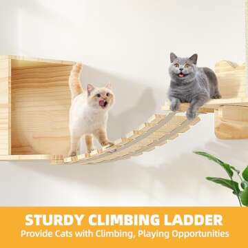 DWVO Cat Wall Shelves and Perches for Wall, Wooden Wall Mounted Cat Furniture, Set of 5 Cat Climbing Shelves with 1 Cat Wall House, 2 Cat Wall Steps, 1 Cat Bridge Ladder and 1 Cat Scratching Post