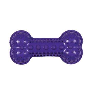 Chomper Snack Pack Bone-Shaped Treat Holder for Pets