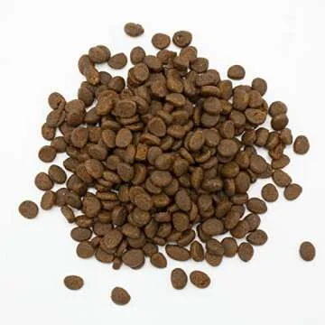 Oxbow Animal Health Essentials Ferret Food - 4 lb