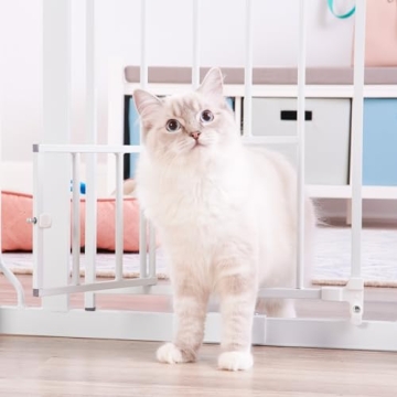 Carlson Extra Wide Pet Gate with Small Pet Door and Extension Kit