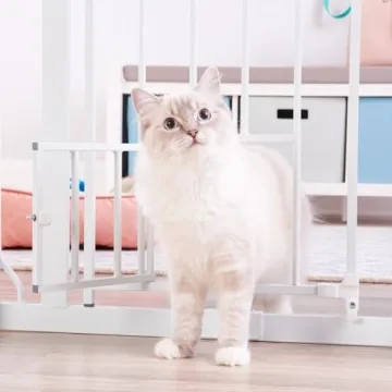 Carlson Extra Wide Pet Gate with Small Pet Door and Extension Kit